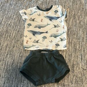 Mermaids & Milkweed Organic Cotton Handmade 18-24 month Set